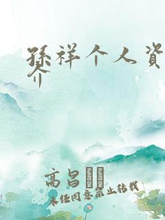 孙祥个人资料简介