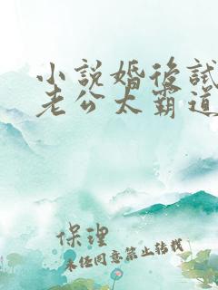 小说婚后试爱:老公太霸道最新章节