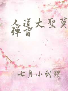 人道大圣莫默无弹窗