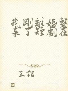 我刚离婚系统就来了短剧在线观看