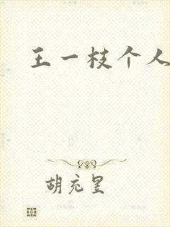 王一枝个人简介