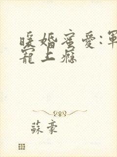 暖婚蜜爱:军官宠上瘾