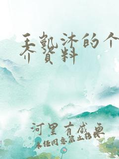 王凯沐的个人简介资料