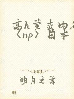 高h荤爽肉欲文〈np〉日本