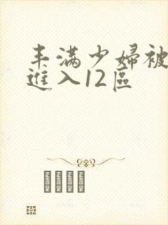 丰满少妇被无套进入12区