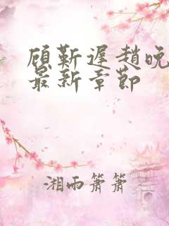 顾靳迟赵晚小说最新章节