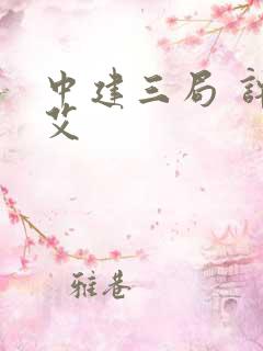 中建三局 许立艾