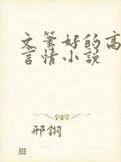 文笔好的高质量言情小说