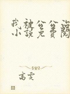 我被公公治愈了小说免费阅读