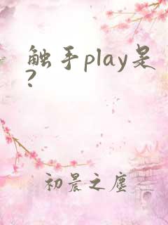触手play是?