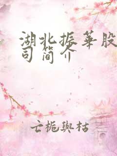 湖北振华股份公司简介