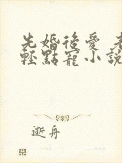 先婚后爱 老公轻点宠小说