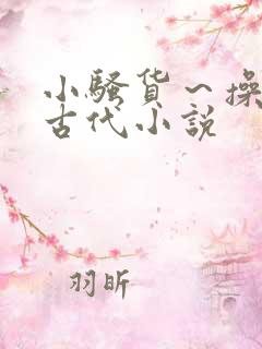 小骚货～操死你古代小说