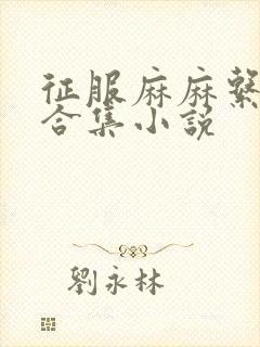 征服麻麻系列大合集小说