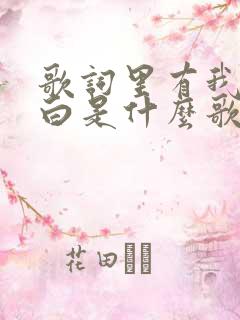 歌词里有我不明白是什么歌