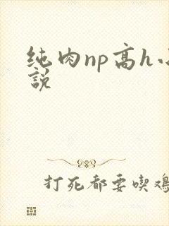 纯肉np高h小说