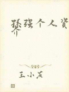 孙强个人资料简介