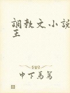 调教文小说双男主