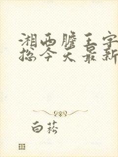 湘西胆王字谜汇总今天最新更新