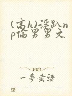 (高h)淫趴np伦男男文