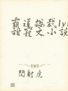 霸道总裁1v1甜宠文小说推荐