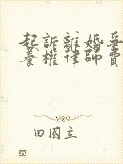 起诉离婚争夺抚养权律师费