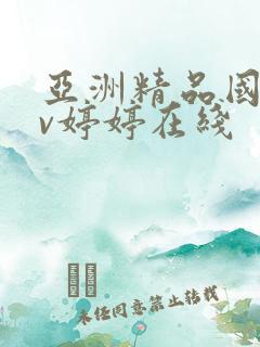 亚洲精品国产av婷婷在线