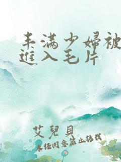 丰满少妇被猛烈进入毛片