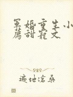 军婚重生小说推荐甜宠文