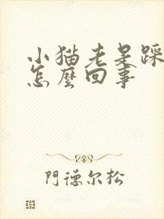 小猫老是踩奶是怎么回事