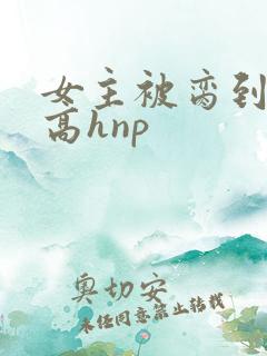 女主被脔到怀孕高hnp