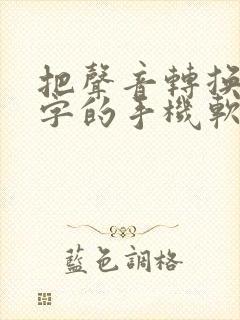 把声音转换成文字的手机软件