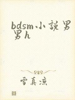 bdsm小说男男h