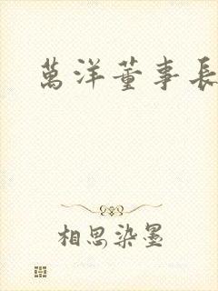 万洋董事长简介