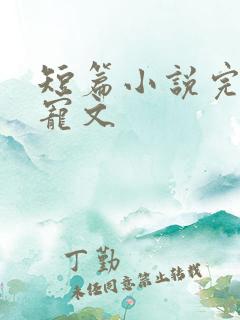 短篇小说完结甜宠文