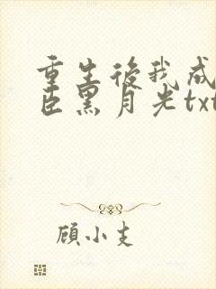 重生后我成了奸臣黑月光txt下载