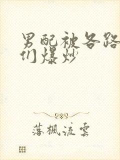 男配被各路大佬们爆炒