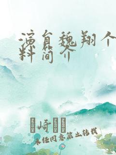 演员魏翔个人资料简介