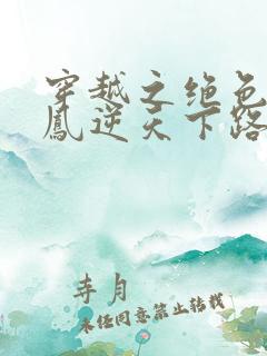 穿越之绝色兽妃凤逆天下路非