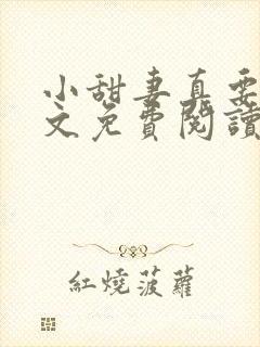 小甜妻真要命全文免费阅读