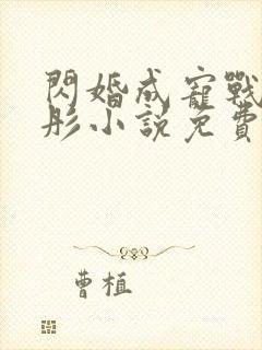 闪婚成宠战胤海彤小说免费阅读