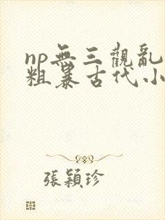 np无三观乱h粗暴古代小说