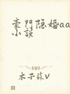 豪门隐婚aa制小说