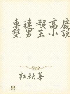 车速超高废文的双男主小说推荐完结