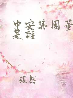 中安集团董事长是谁