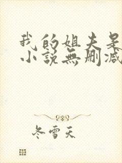 我的姐夫是太子小说无删减在线阅读