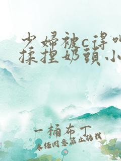 少妇被c得呻吟揉捏奶头小说