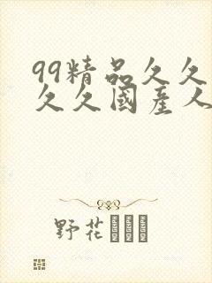 99精品久久久久久国产人妻