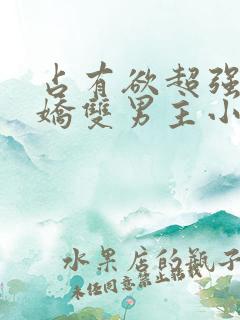 占有欲超强的病娇双男主小说