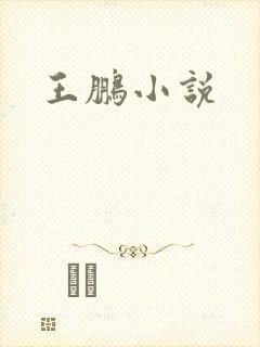 王鹏小说